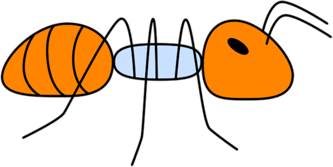 Ameisen Bild